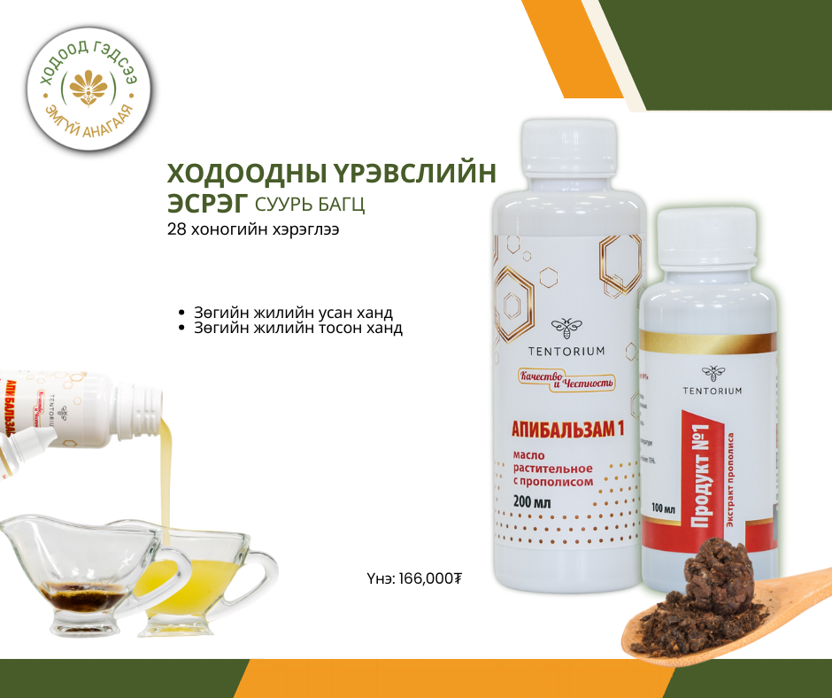 Ходоодны суурь багц (28 хоногийн хэрэглээ)